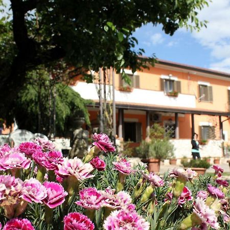 B&B Casale Shanti Piedimonte San Germano Exteriör bild