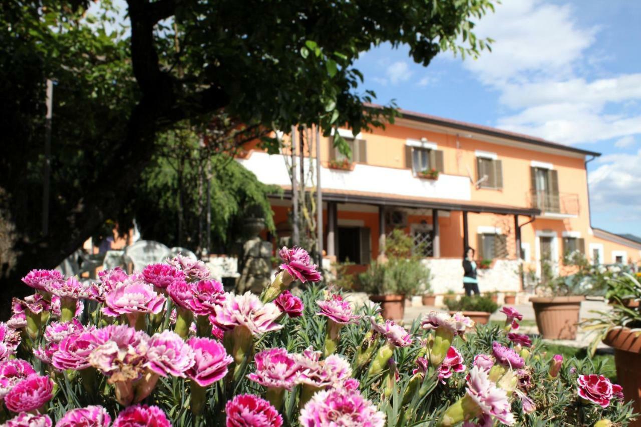 B&B Casale Shanti Piedimonte San Germano Exteriör bild